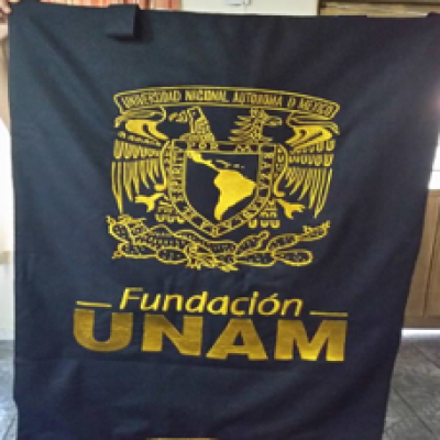 Captura de pantalla 2026-07-11 175837